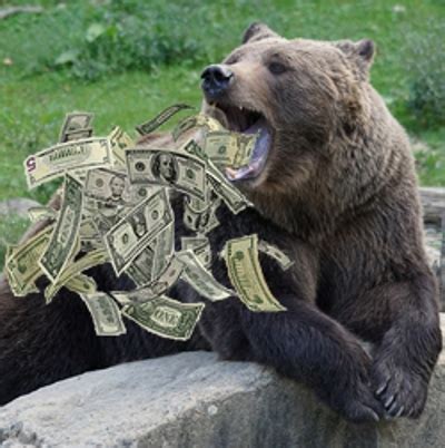 Bear Money 1xbet